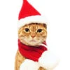 Pet Cat Costume Christmas Red Scarf Polyester Pet Supply